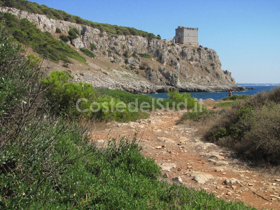 torre Dell Alto Vista Da Porto Selvaggio