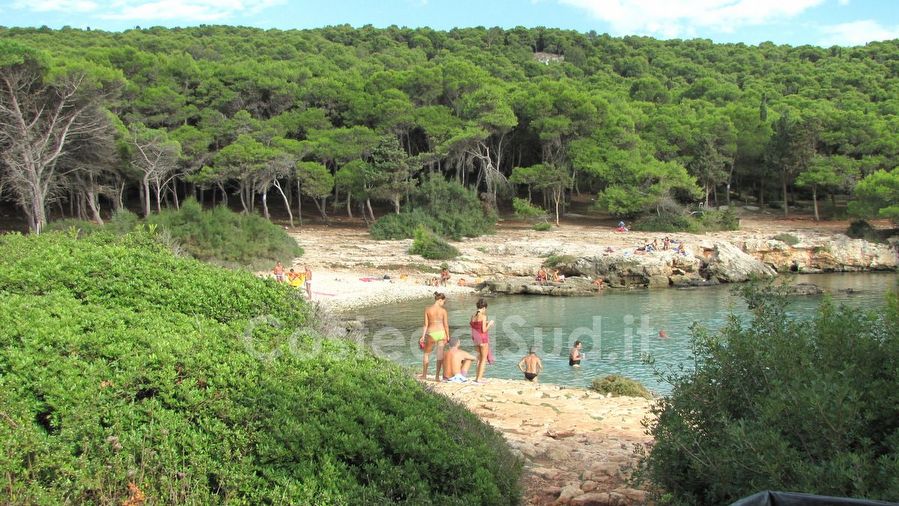 vista Sulla Baia Di Porto Selvaggio