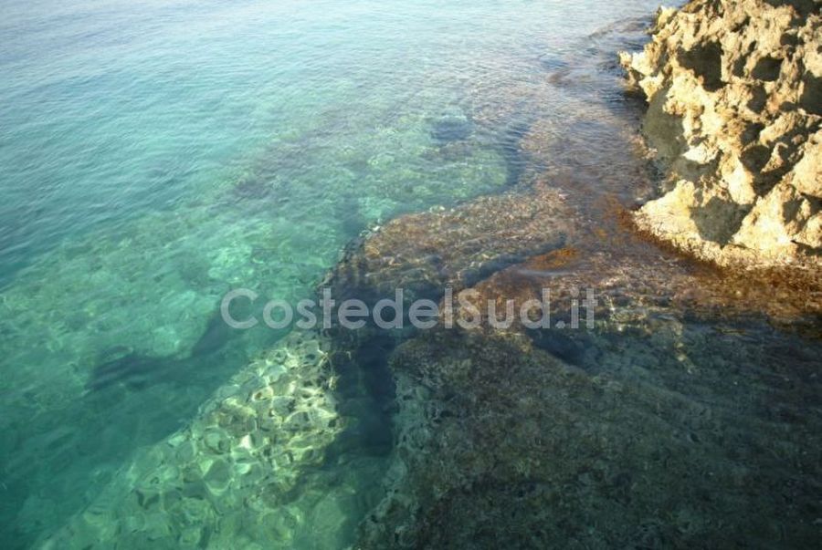 fondale Torre Inserraglio