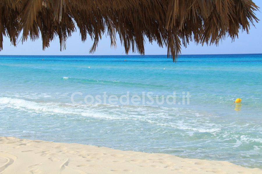 cuba O Salento Lido Malibu