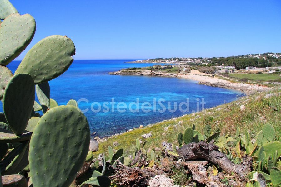 foto Della Picocla Baia Di Felloniche