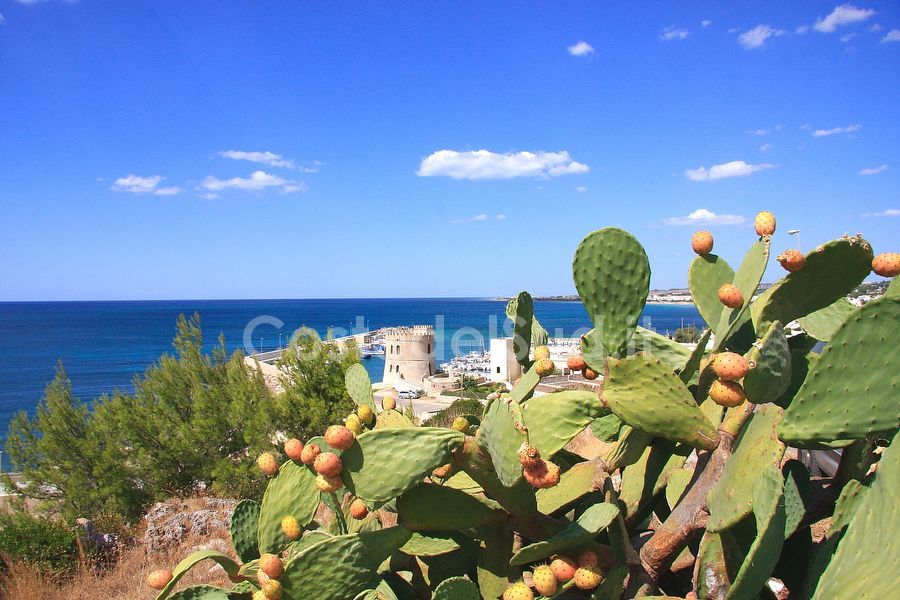 panoramica Sulla Torre