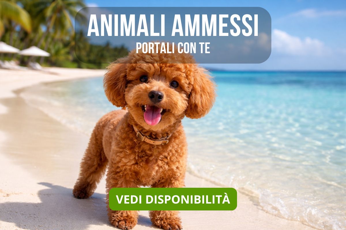 Case Vacanze Salento Animali Ammessi